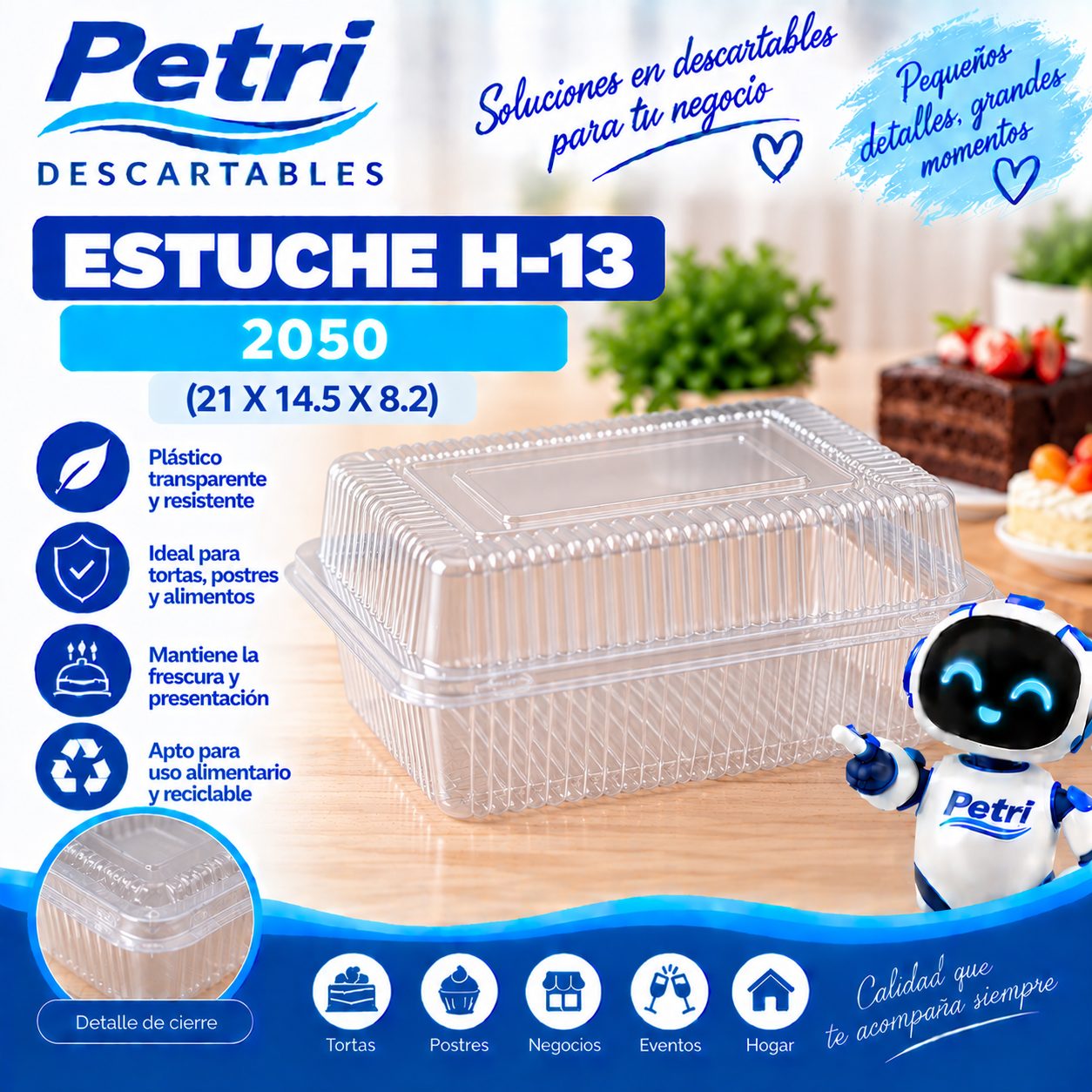 ESTUCHE H-13 2050 (21X14.5X8.2)